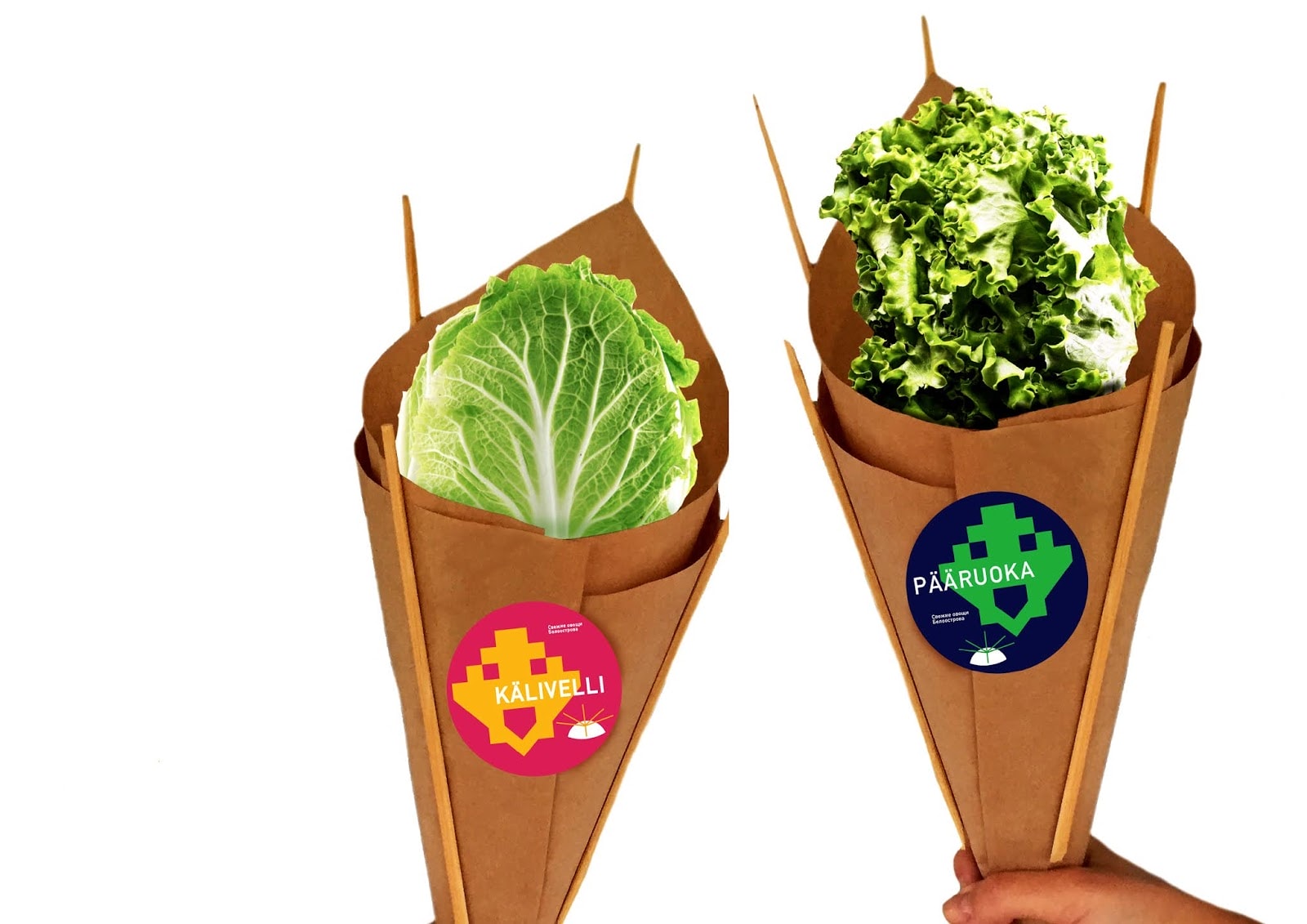 蔬菜包裝設(shè)計(jì)